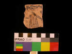 L_V22d4501 J6i318.1 T729 dM cv f200 sherd figure